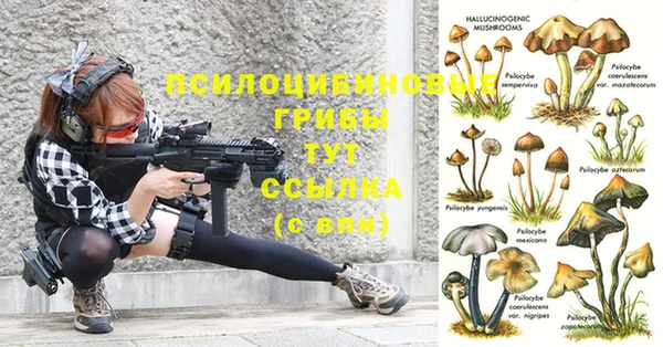 прущий лед Майский